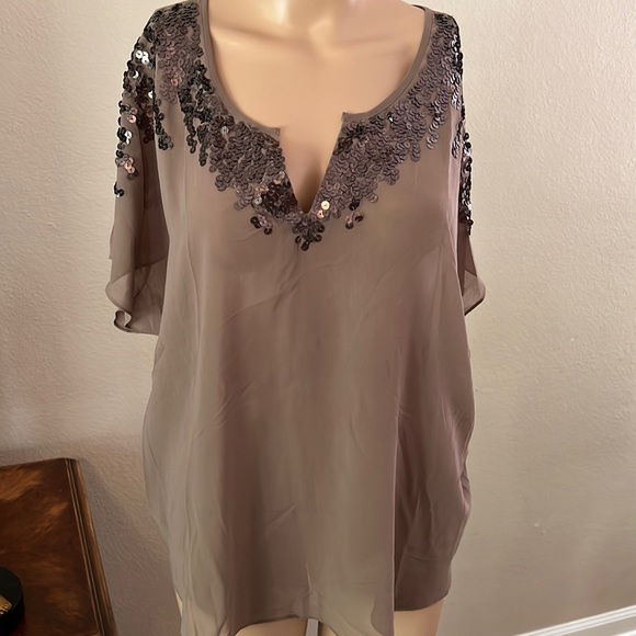 Express Sheer Top with Sequins - Picture 1 of 4